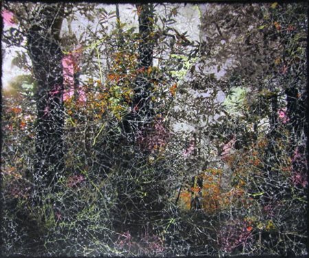 Paolo Giuseppe Piacentini Milano 1979 I boschi di Matilde 2014 Collage e...