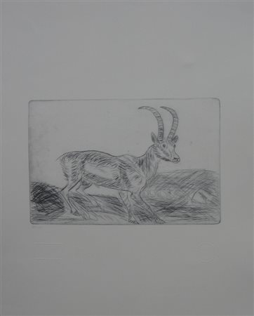 LIGABUE ANTONIO STAMBECCO INCISIONE cm 70 x 50 Esemplare n. 185/199. Timbro a...