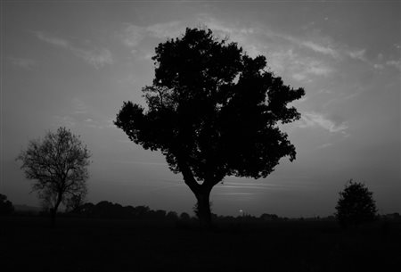 Sofia Clementi 1990, Fermo (Fm) - [Italia] Untitled XI fotografia stampa...