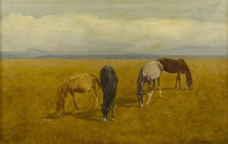 Enrico Coleman Roma 1846 1911 Cavalli al pascolo , Olio su tela, cm. 50x79...