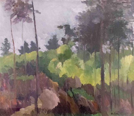 Eduardo Malara (Buenos Aires 1948), Paesaggio, anni '70 Olio su tela, 60 x 70...
