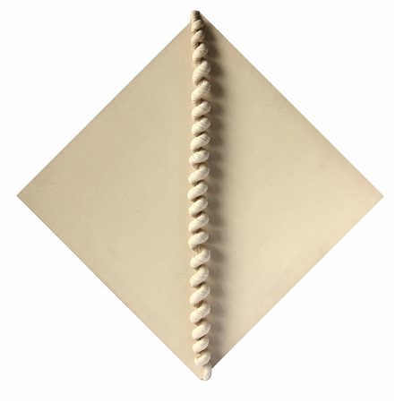 Jorge EIELSON Lima, 1924 Milano, 2006 Amazzonia, 1994, tessuto di cotone su...