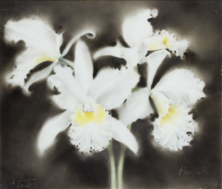 Antonietta Noriller Armani (1911-1988) Natura Morta firma in basso a destra e...