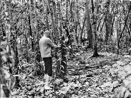 JOSEPH BEUYS Krefeld 1921 – Düsseldorf 1986 JOSEPH BEUYS, “OPERAZIONE DIFESA...