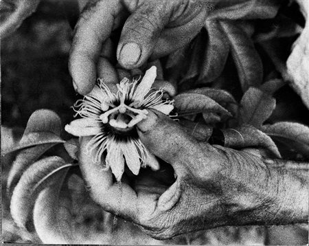 JOSEPH BEUYS Krefeld 1921 – Düsseldorf 1986 JOSEPH BEUYS, “OPERAZIONE DIFESA...