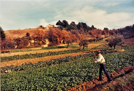 JOSEPH BEUYS Krefeld 1921 – Düsseldorf 1986 JOSEPH BEUYS, “OPERAZIONE DIFESA...