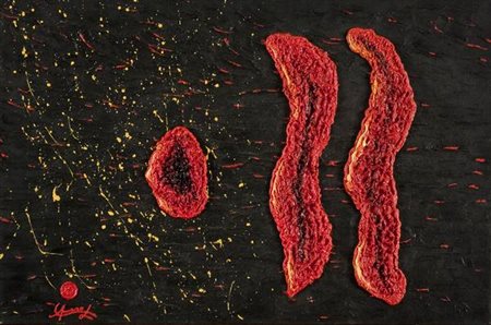 Leonardo Amaro Fluttuazione di pensieri nel mare del nulla 2010 Firma sul...