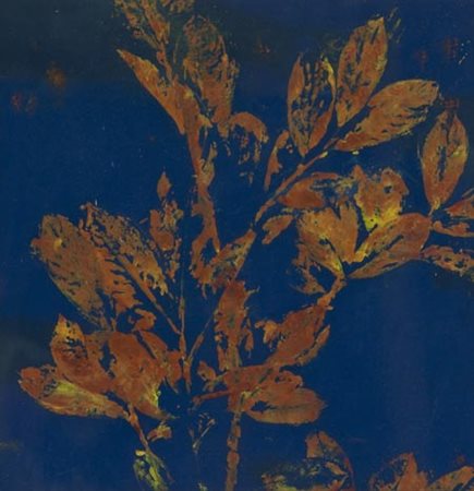 Massimo Barzagli Marradi (Fi) 1960 , Impressione di alloro, 1993 Tempera su...