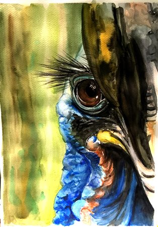 Valentina Bollo "Casuario" acquerello su carta dim. foglio cm 42x30 - Firma...