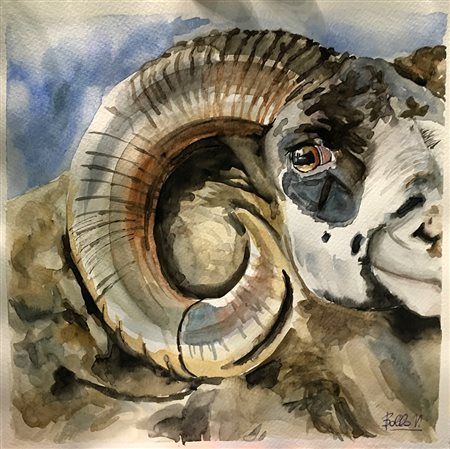 Valentina Bollo "Ariete" acquerello su carta dim. foglio cm 23x23 - Firma...