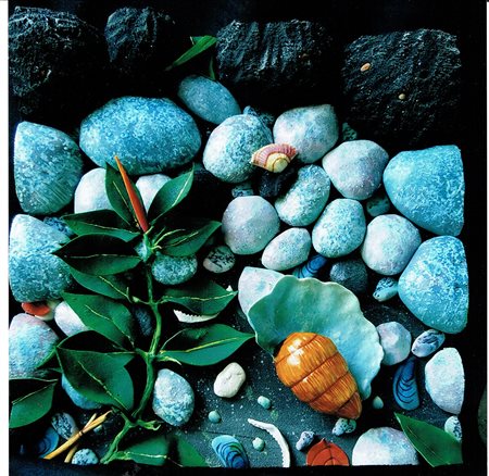 Piero Gilardi "Ficus canario" - Poliuretano espanso - cm 50x50 - Autentica su...