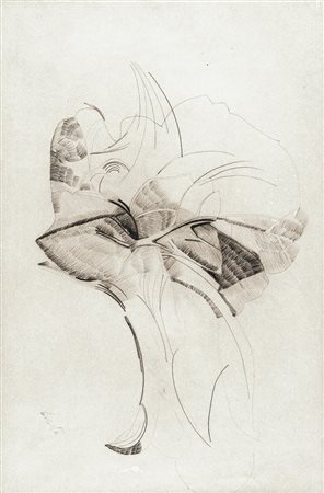 EDITA BROGLIO Smiltene 1886 - Roma 1977 Studio di foglie, 1930 circa Matita...