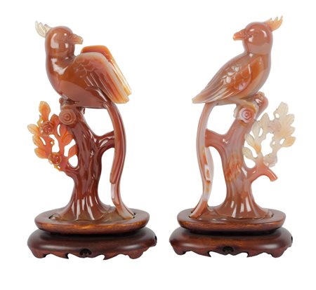 COPPIA SCULTURE in corniola raffiguranti "volatili su rami", basi in legno....