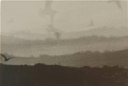 Mario Giacomelli fotografia b.n. "Gabbiani", cm 20x28,5 Al retro timbro...