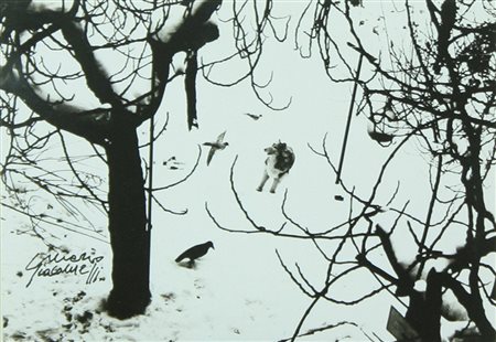 Mario Giacomelli fotografia b.n. "Lupo", cm 10,5x15 F.to in b. a sx