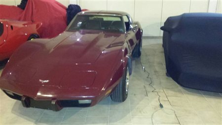 Corvette c3 STINGRAY DEL 1977 VETRO PIATTO