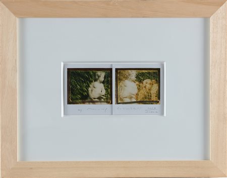 GALIMBERTI MAURIZIO (n. 1956) Dittico Fiaboso....n°1. 2007. Polaroid doppia....