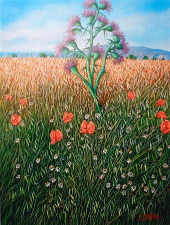 Giovanni Daurea "Papaveri" - Olio su tela cm 80x60 - Autentica dell'Artista...