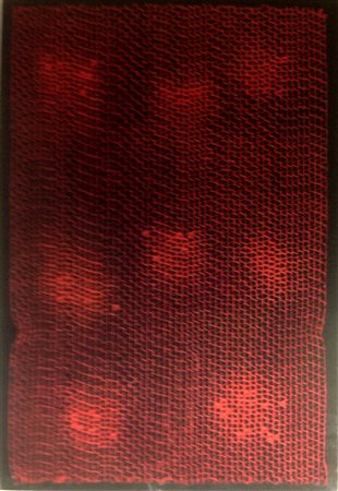 Bernard Aubertin "Alveo" 1990 - Cartone dipinto su tavola cm 80x55 -...