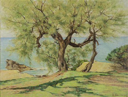 Eugenio Carraresi Tamerice antignano Olio su tela riportata su cartone, cm....