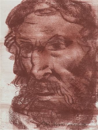 Pietro Annigoni Volto Sanguigna su cartoncino, cm. 19x14 Firmato in basso a...