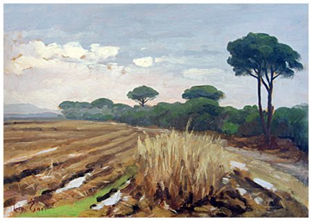 LUIGI SALSICCIONI TOCI Livorno 1908 – Livorno 1996 Coltano Olio su tavola 25...