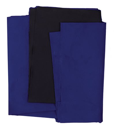 CESARE BERLINGERI Cittanova (Rc) 06/03/1948 Senza titolo, 2007 tecnica mista...