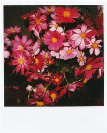 NOBUYOSHI ARAKI Tokyo 25/05/1940 Senza titolo polaroid cm. 11x9, firma al retro.