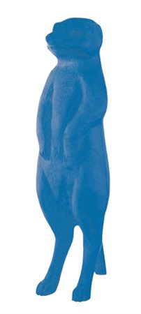 CRACKING ART Suricato multiplo in plastica azzurra cm. 120x49x48, esemplare...