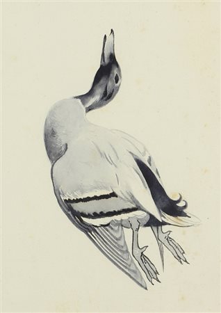 Mario Norfini, Anatra, acquerello su carta, cm. 32x24, firma sbiadita in...