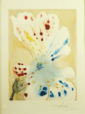 Salvador Dali' Figueres 1904 -1989 55x41,5 cm. "L'éléphant blue", litografia...