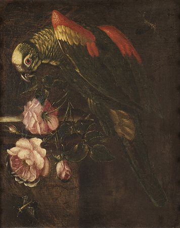 Scuola del secolo XVIII "Fiori con pappagallo, insetti e rose" olio su tela...