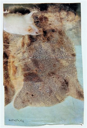 Mimmo ROTELLA (Catanzaro 1918-Milano 2006) S.t. Gioco pericoloso, 1972,...