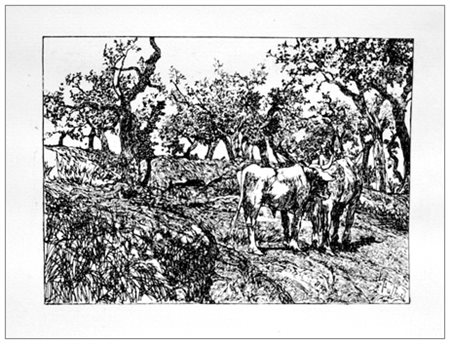 GIOVANNI FATTORI Livorno 1825 – Firenze 1908 L’uliveta 1905 ca. Acquaforte su...