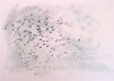 Valentina Ceci Milano 1985 Stormo 2016 disegno a penna biro su trasferimento...