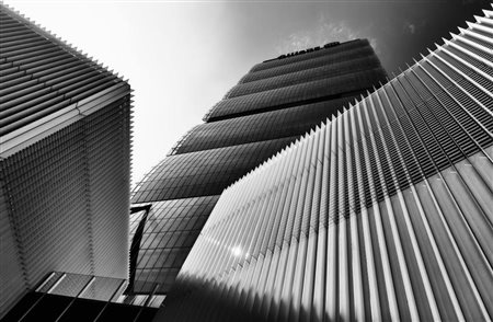 Daniele Mengotti Milano 1977 L'airone di vetro 2016 Fotografia su Dibond 30x45