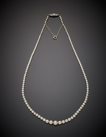 Collana di 129 perle naturali di acqua salata da mm 2 a mm 7 circa di colore...