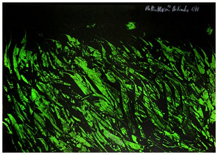 MATTIA MORENI Pavia 1920 – Brisighella 1999 Novembre 1971 Litografia a colori...