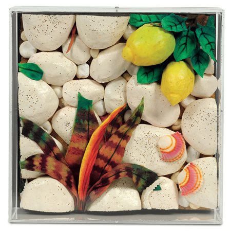 Piero Gilardi (1942), Senza titolo, poliuretano espanso, teca in plexiglass,...