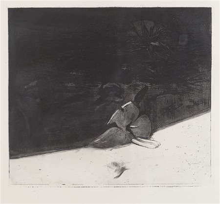 PIERO GUCCIONE (Scicli 1935) Vita e morte dell'ibisco, 1978 Acquaforte, ex....