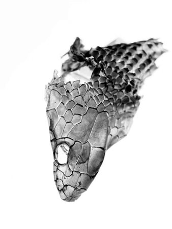 ANTONIO TARTAGLIONE (Bari 1957) Trasparenze, 2015 Sei stampe fotografiche su...