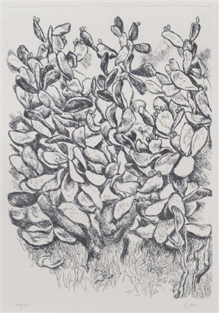 RENATO GUTTUSO (Bagheria 1912 - Roma 1987) Cactus Acquaforte, ex. 106/125...