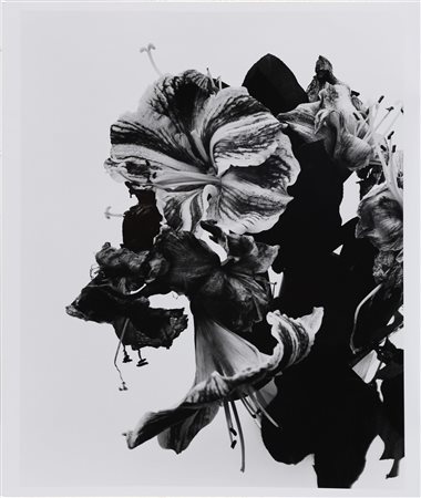 ARAKI NOBUYOSHI (n. 1940) From close to range. . 1991. Stampa alla gelatina...