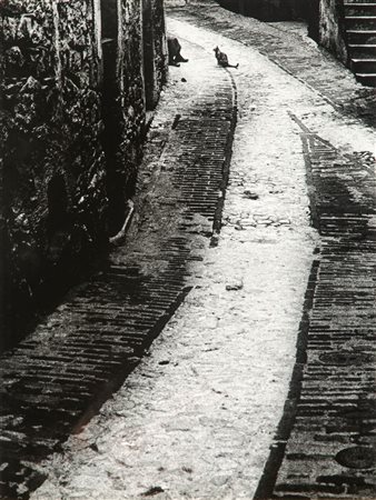 MURATORI RENZO 1927 - 1992 "L'ultimo amico" 40x29,5 fotografia Opera timbrata...