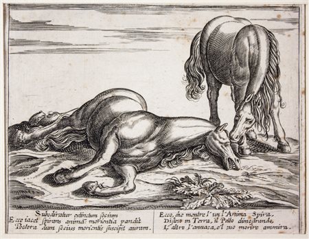 Antonio Tempesta Cavalli di diversi paesi. Acquaforte. mm137/141x170/180....