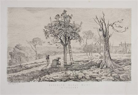 Adolfo Bignami Raccolto degli ulivi in Toscana.Post 1869.Acquaforte. mm...