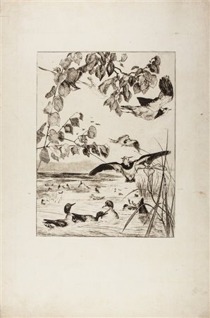 Félix Bracquemond Vanneaux et sarcelles.1862Acquaforte su carta japon. mm...