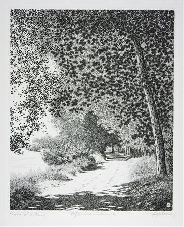 Agostino Zaliani (1932 )Afa meridiana.1995Acquaforte. mm 210x170. Foglio: mm...